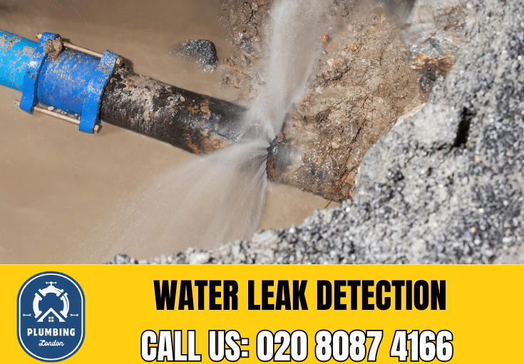 leak detection Clerkenwell